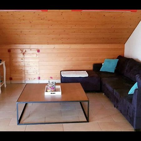 Groot Appartement Nabij Brugge Met Eigen Badkamer! Дамме Екстер'єр фото