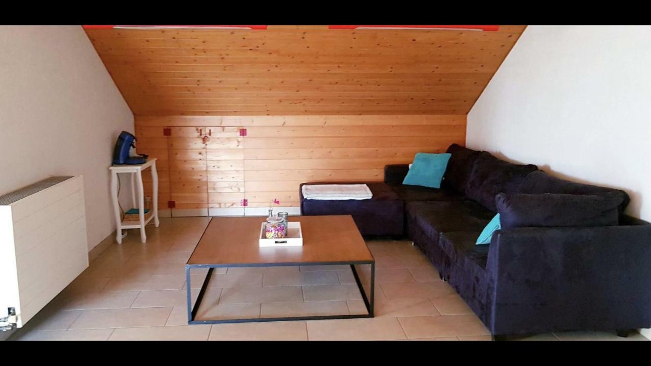 Groot Appartement Nabij Brugge Met Eigen Badkamer! Дамме Екстер'єр фото